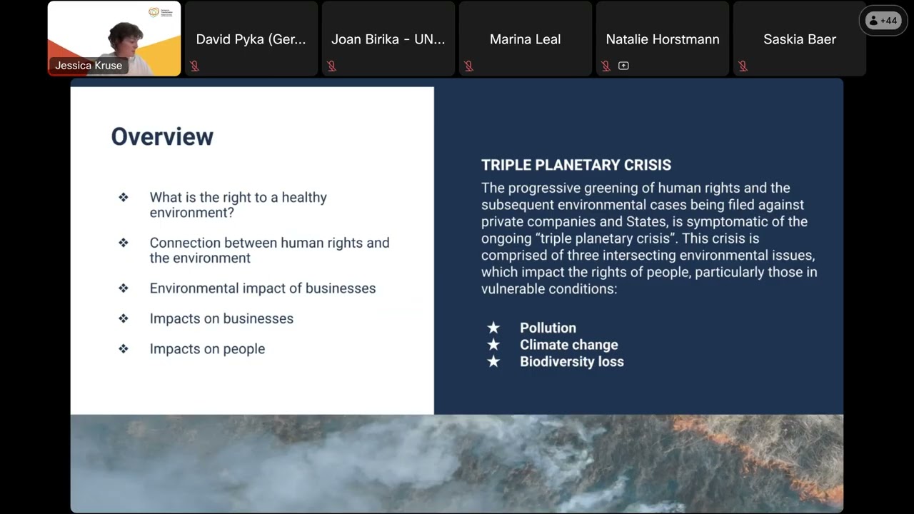 Right to a Healthy Environment: Human Rights Due Diligence for Business