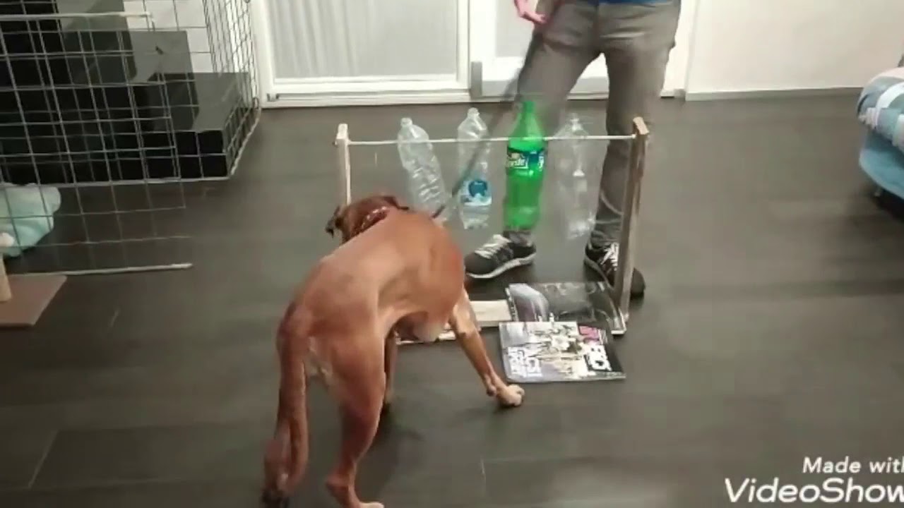 VIDEOCOCCOLE FONDAZIONESALESI Puntata del 25 marzo ore 12,20 su E&rsquo;TV Canale 12