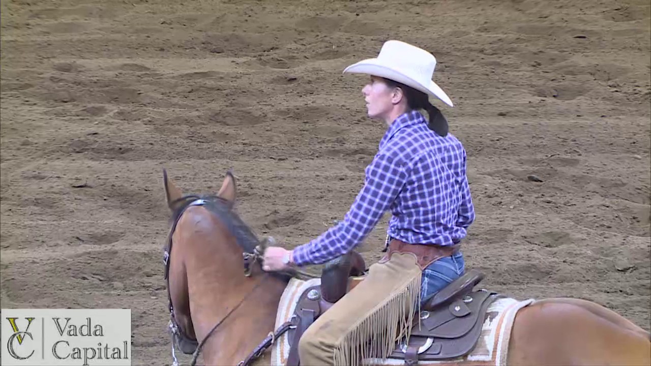 2017 Calgary Stampede Working Cow Horse Classic - Open Bridle Winner