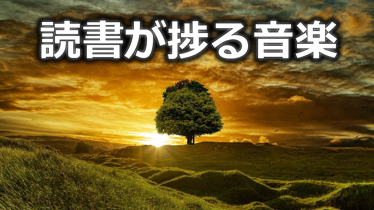 読書が捗る音楽│時間を忘れて没頭するBGM│50min