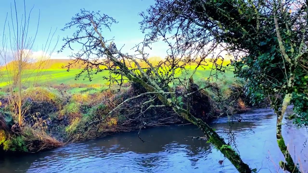 Vivid River Colours with Slow Celtic Music – Relaxing Nature Ambience | 4K
