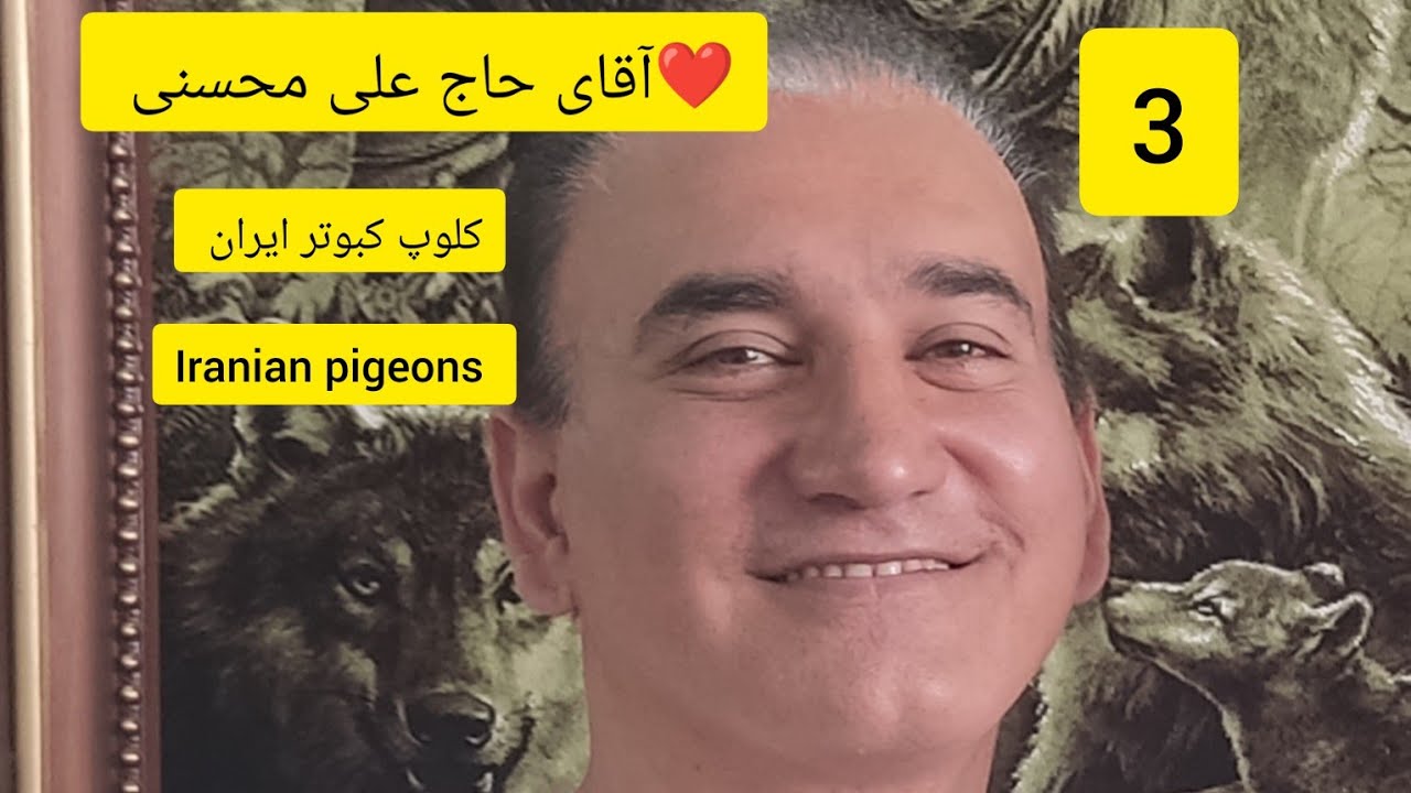 ❤️گزارش و مصاحبه 3 با آقای حاج علی محسنی (علی شرمن) از تهران _ فتح Iranian high flyers pigeon