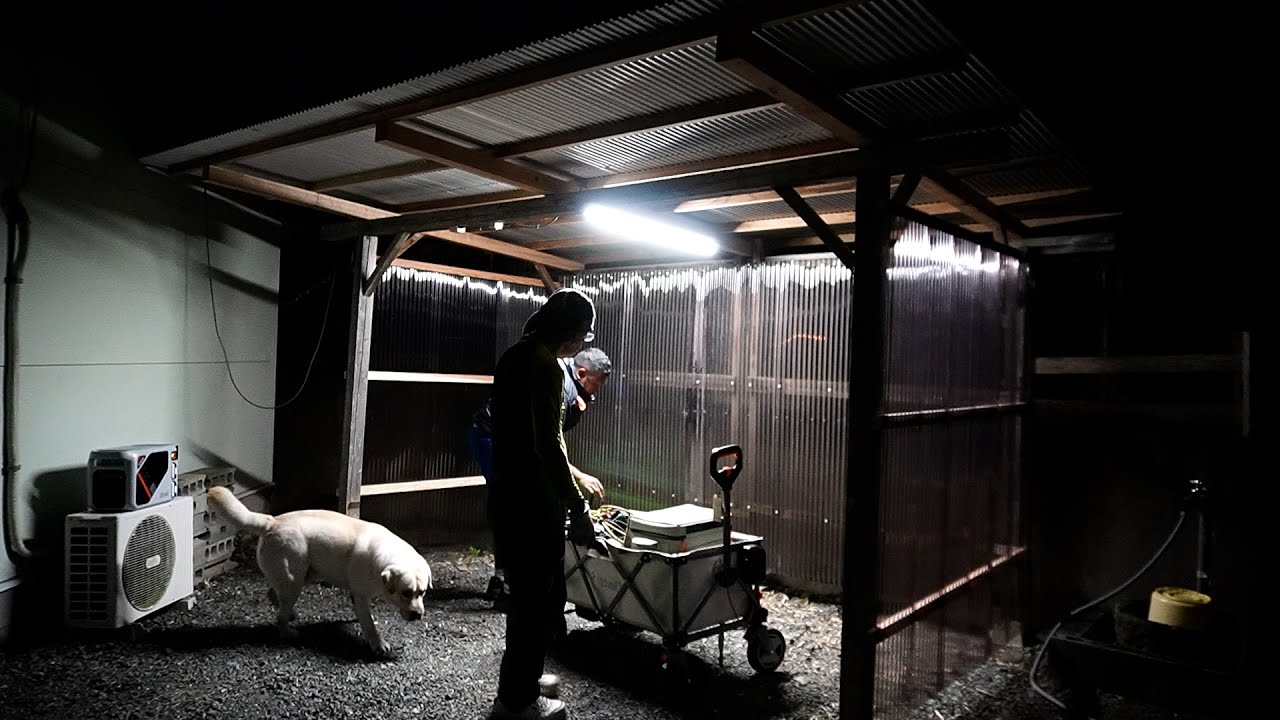 木が腐って倒壊寸前だった小屋をリフォームしてみた。