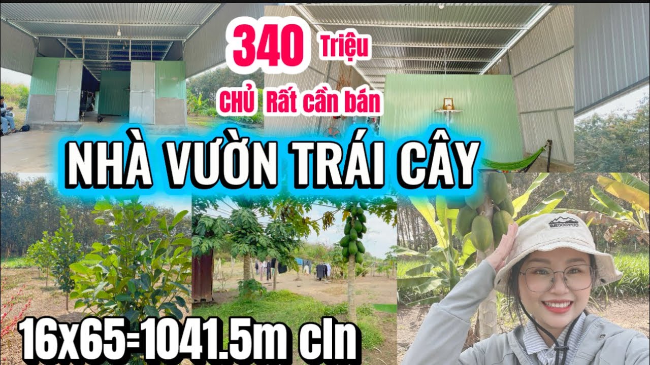 Đã bán☘️