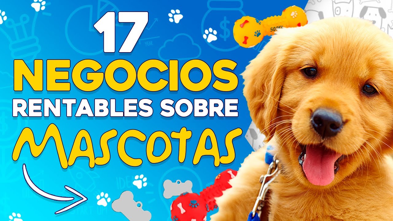 🐕 17 Negocios Rentables sobre Mascotas 💸 Ganar Dinero con Mascotas