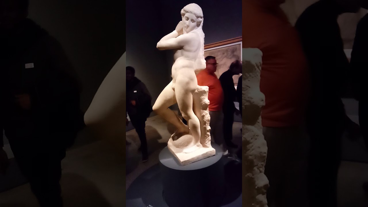 Michelangelo's 