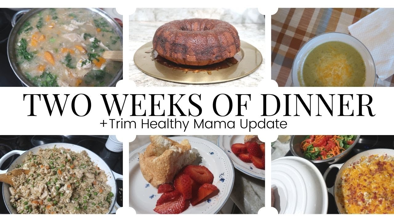 TWO WEEKS OF DINNER || FAMILY OF 6 || +TRIM HEALTHY MAMA CHECK-IN!