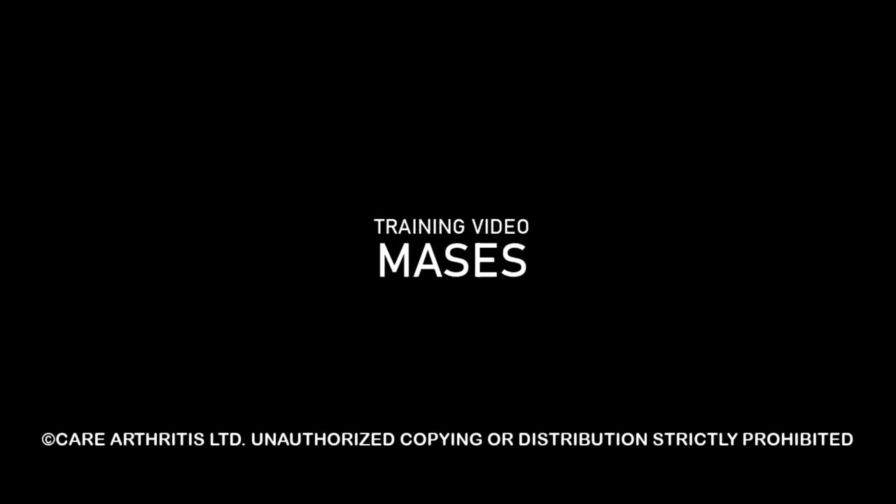 MASES (English Original)