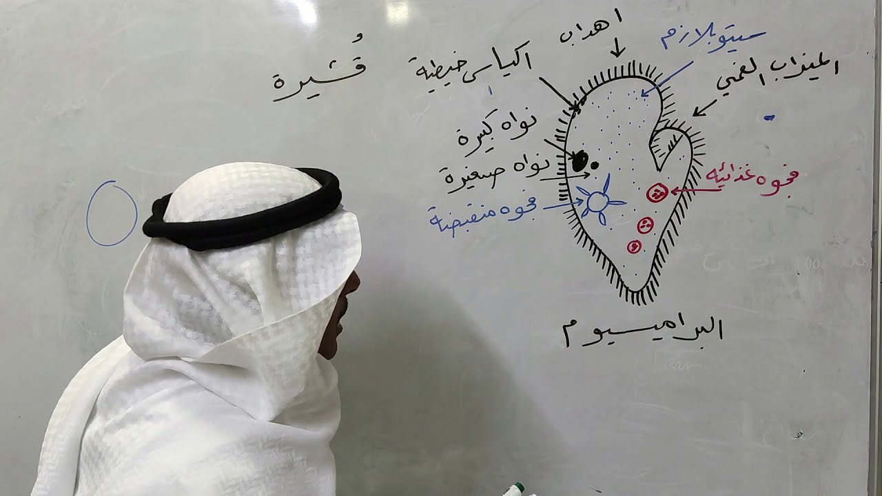 مدخل إلى الطلائعيات الجزء الأول