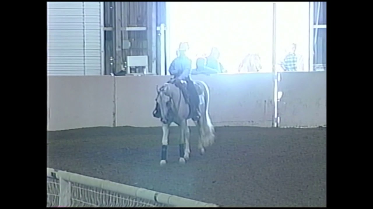 2002 Arabian Horse Association Youth National Championships - HA Reining JTR - General Video