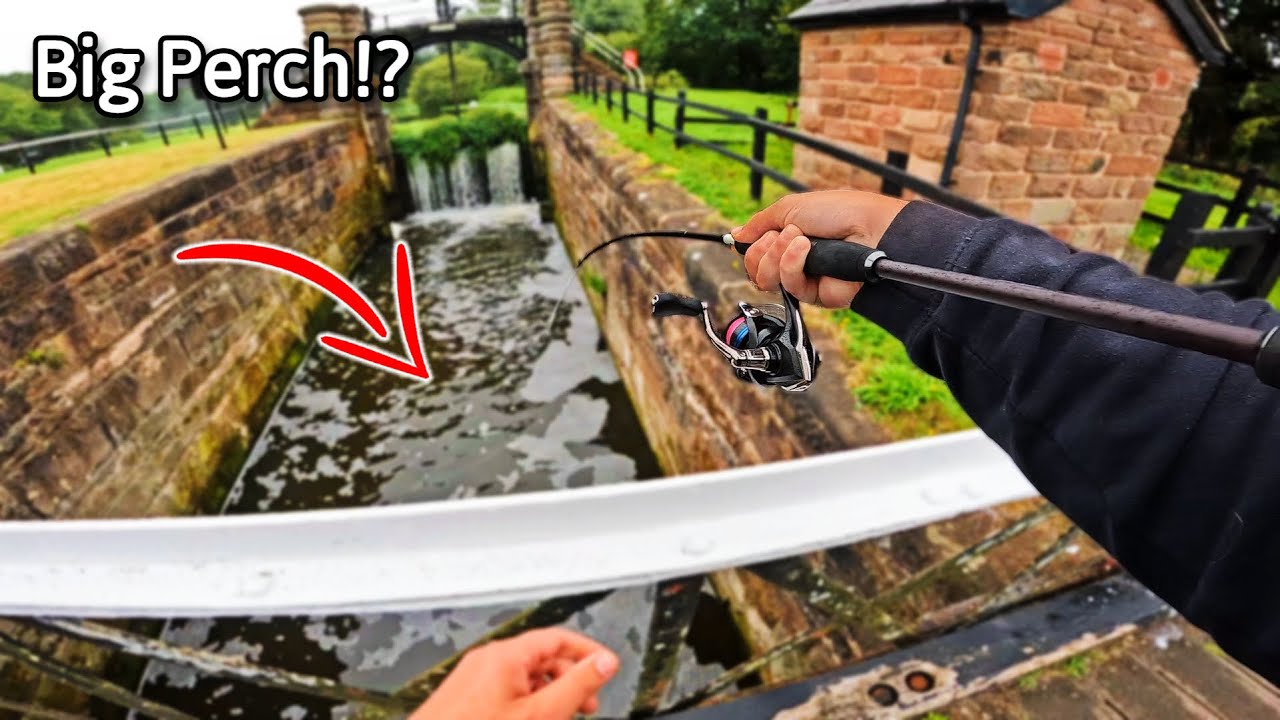 I Can&rsquo;t Believe This BIG Perch Came Out of My Pike Spot!