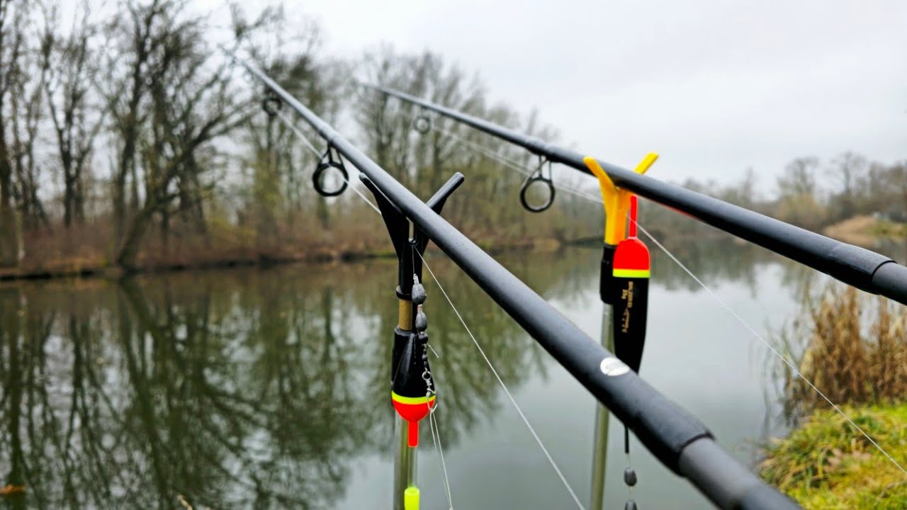 Angeln mit Köderfisch am Fluss und Teich!