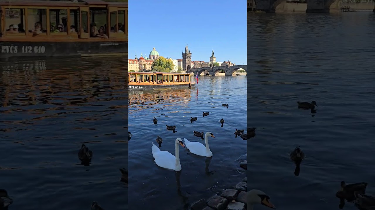 Praga #praga #praha #cehia