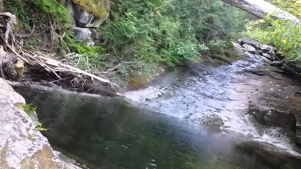 Being stalked in the woods