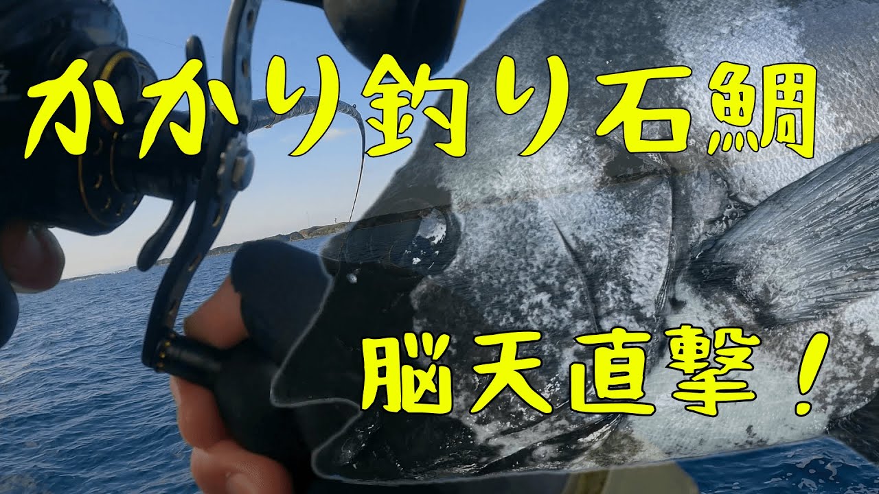 ゼロテンからズドン‼︎ イシダイ船かかり釣りが面白い｜東京湾剣崎沖