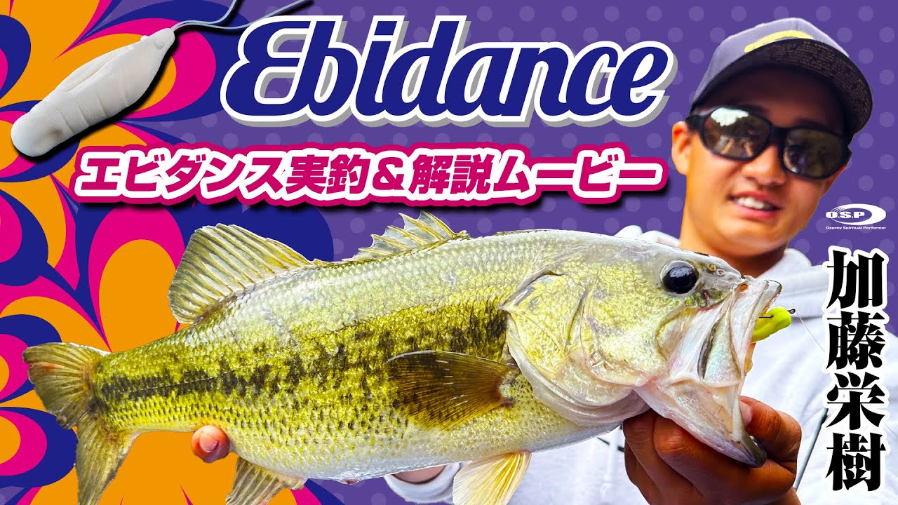 【エビダンス】フィネス系トップウォータールアー「エビダンス」の実釣＆使い方解説ムービー【加藤栄樹】
