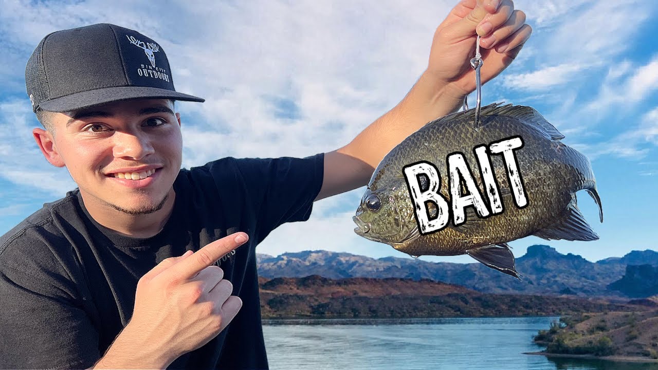 You Won't Believe What Ate This!!!
