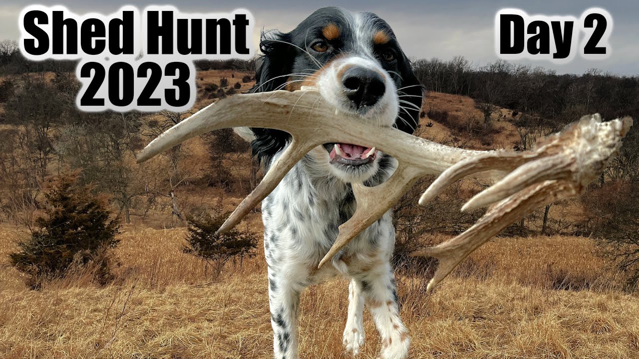 Iowa Shed Hunt Day 2!