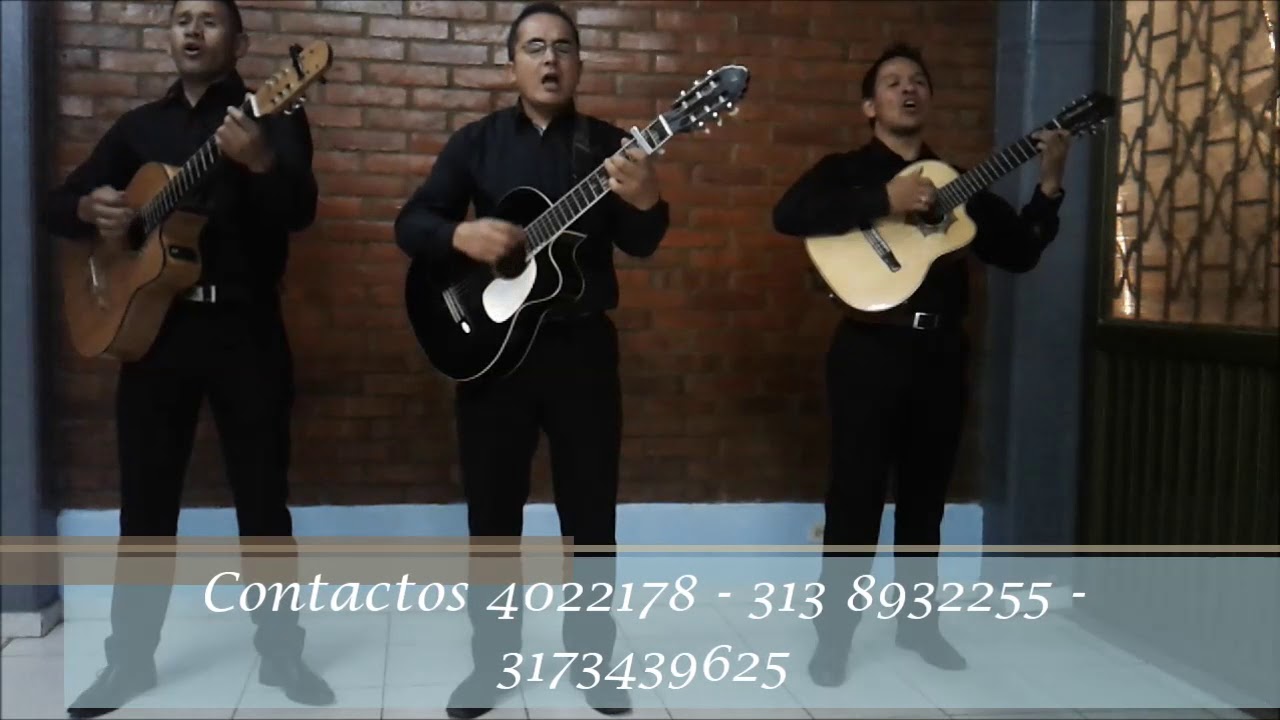 Serenatas Tríos Bogotá 3138932255 - Los Visconti