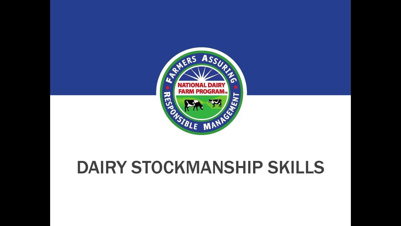 Dairy Stockmanship Skills