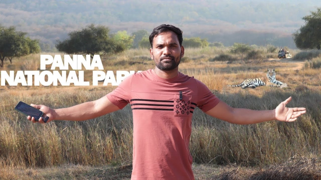 Panna National Park|Panna jungle safari|panna tourist place ￼
