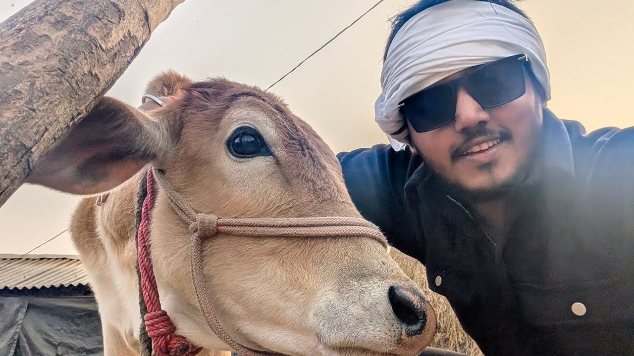 Reached bihar and Explore 