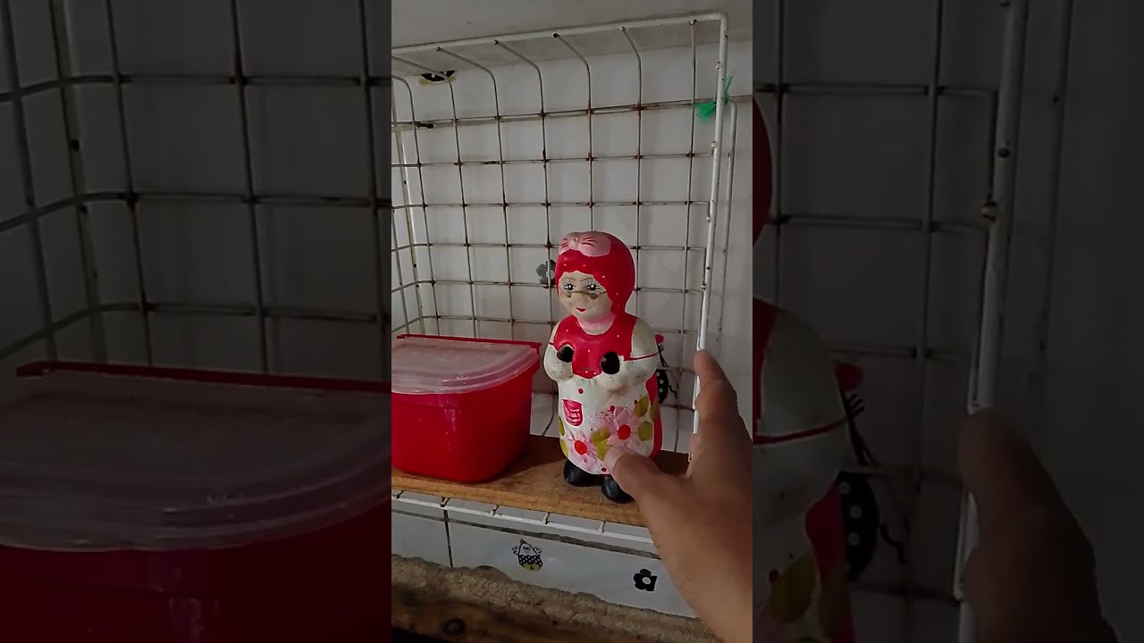 28 de fevereiro de 2026