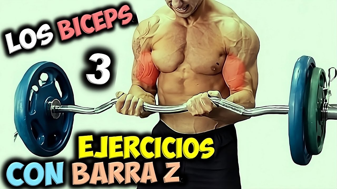 LOS 3 Mejores, EJERCICIOS Con BARRA Z 💪 Para OBTENER, Unos BICEPS Grandes &iexcl;&iexcl;Construye Tus BRAZOS!!