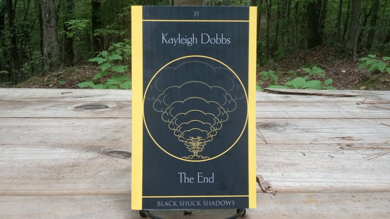 Kayleigh Dobbs' The End - Indie Author August