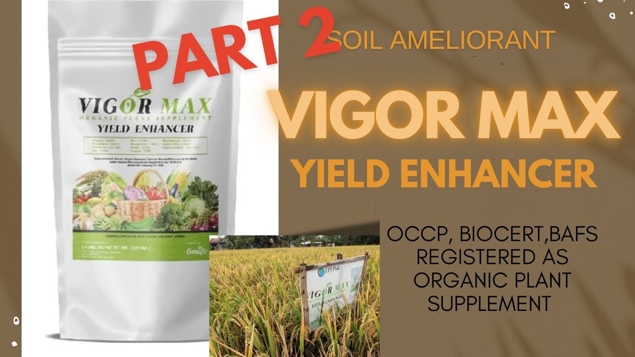 ANO ANG VIGOR MAX NA SOIL AMELIORANT Part 2