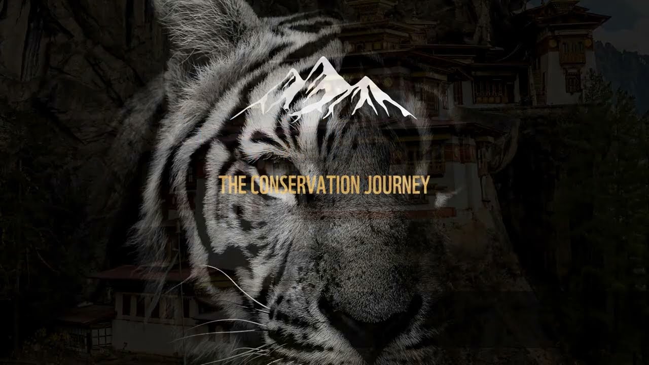 Tiger Conservation in Bhutan: Journey