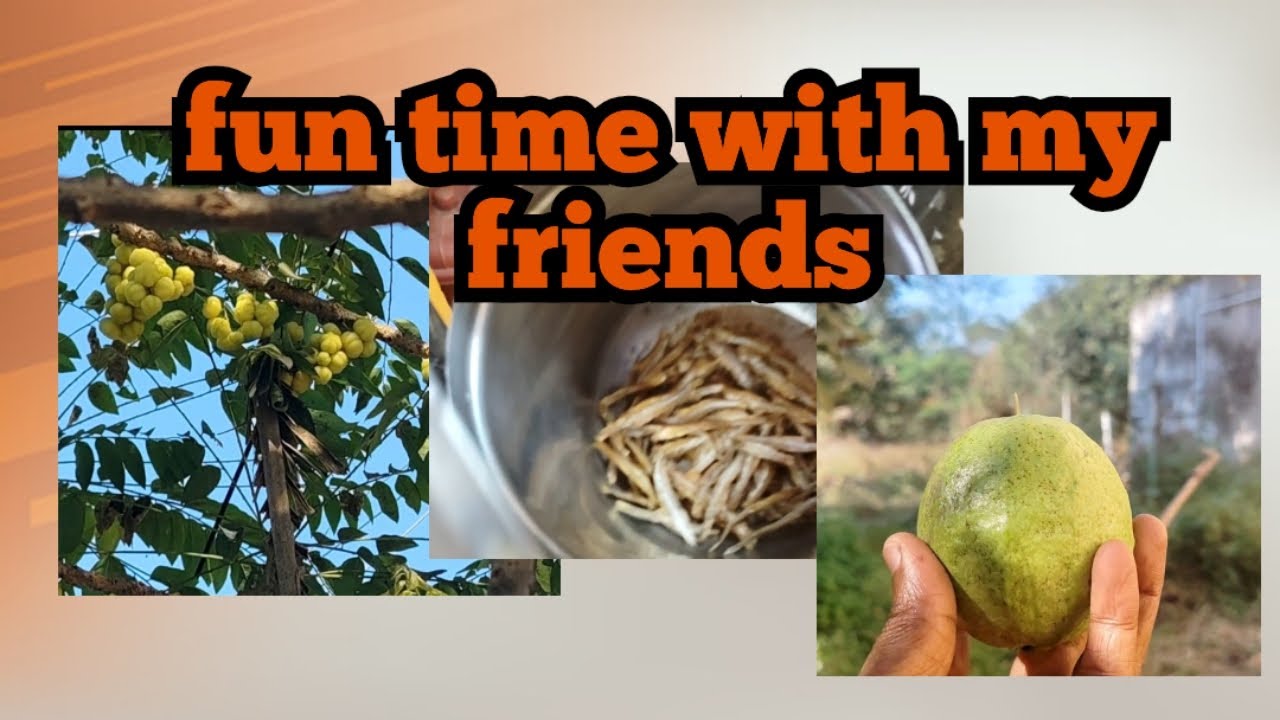 How To Have The Best Fun Time With Friends