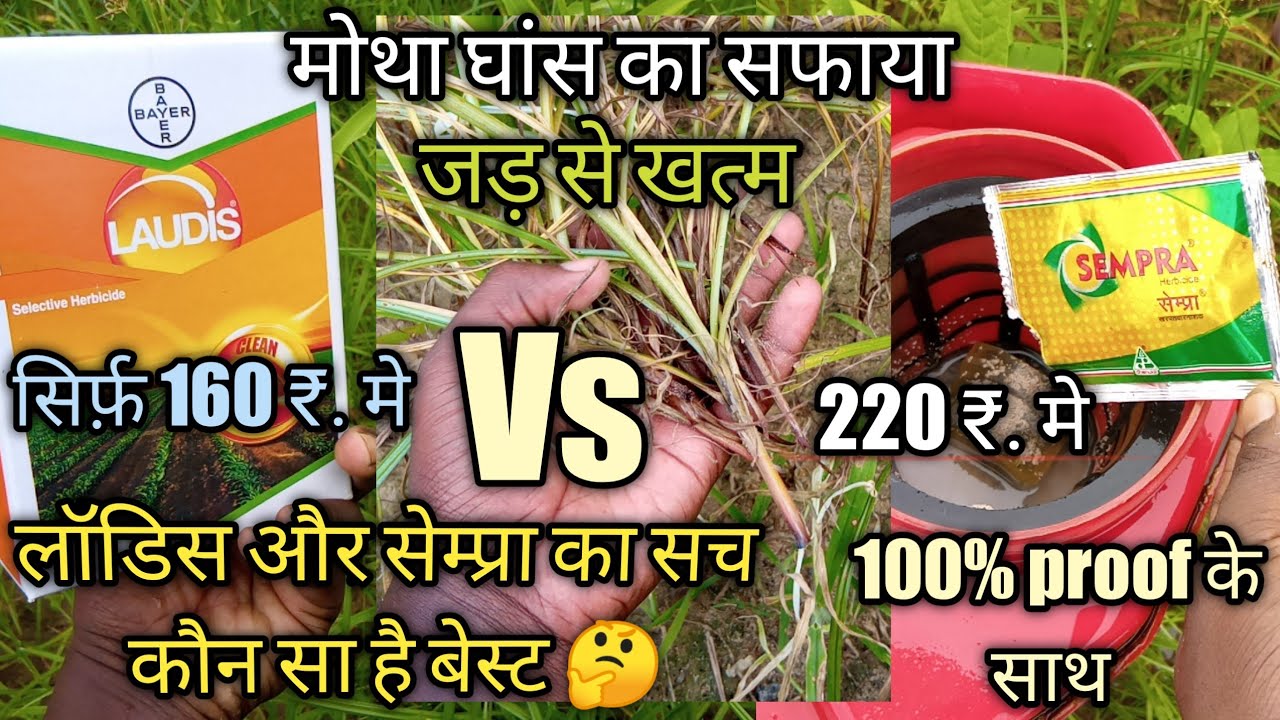 Which is the best herbicide laudis or sempra.
