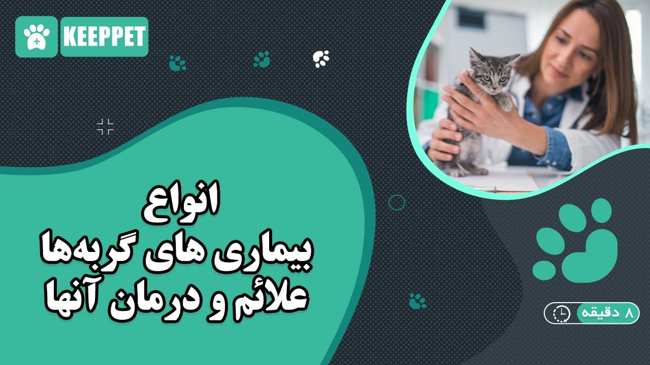 انواع بیماری های گربه ها علائم و درمان آنها