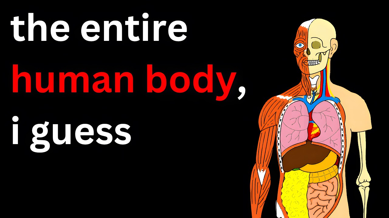 The Entire Human Body Explained in 20 Minutes, i guess