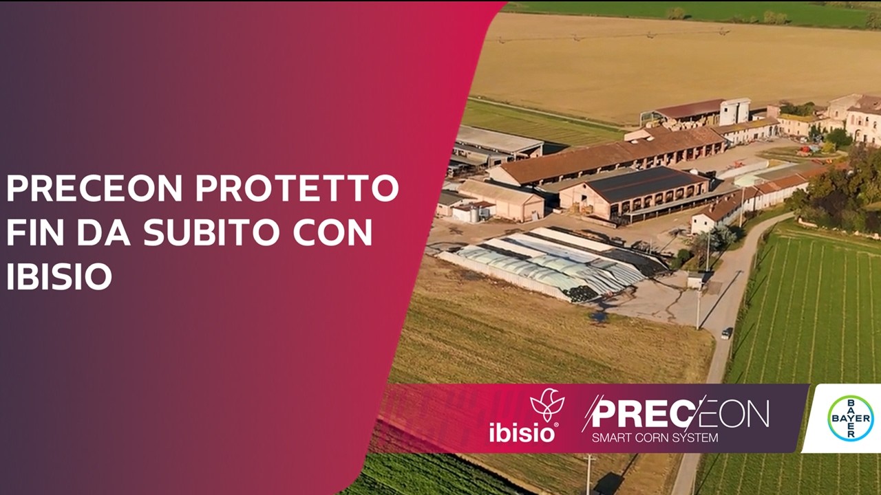 Preceon protetto fin da subito con Ibisio