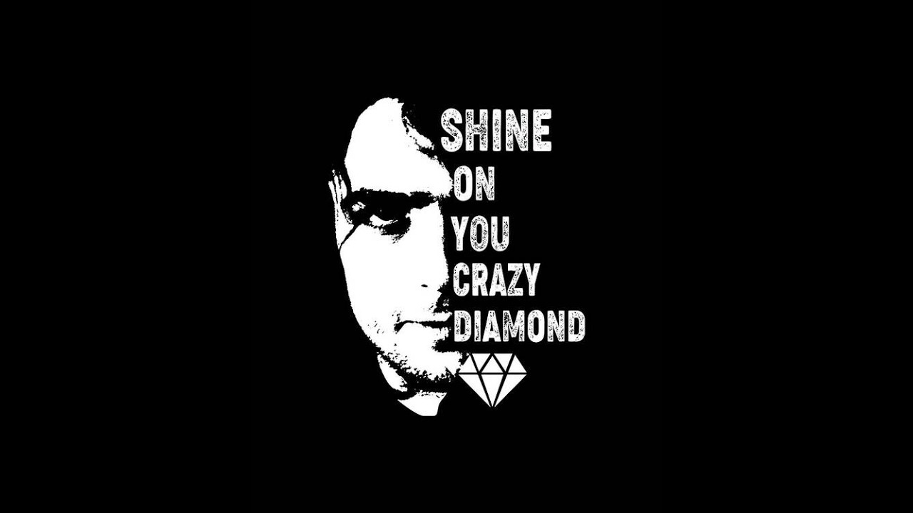 Николай Гвоздев  Shine On You Crazy Diamond  cover