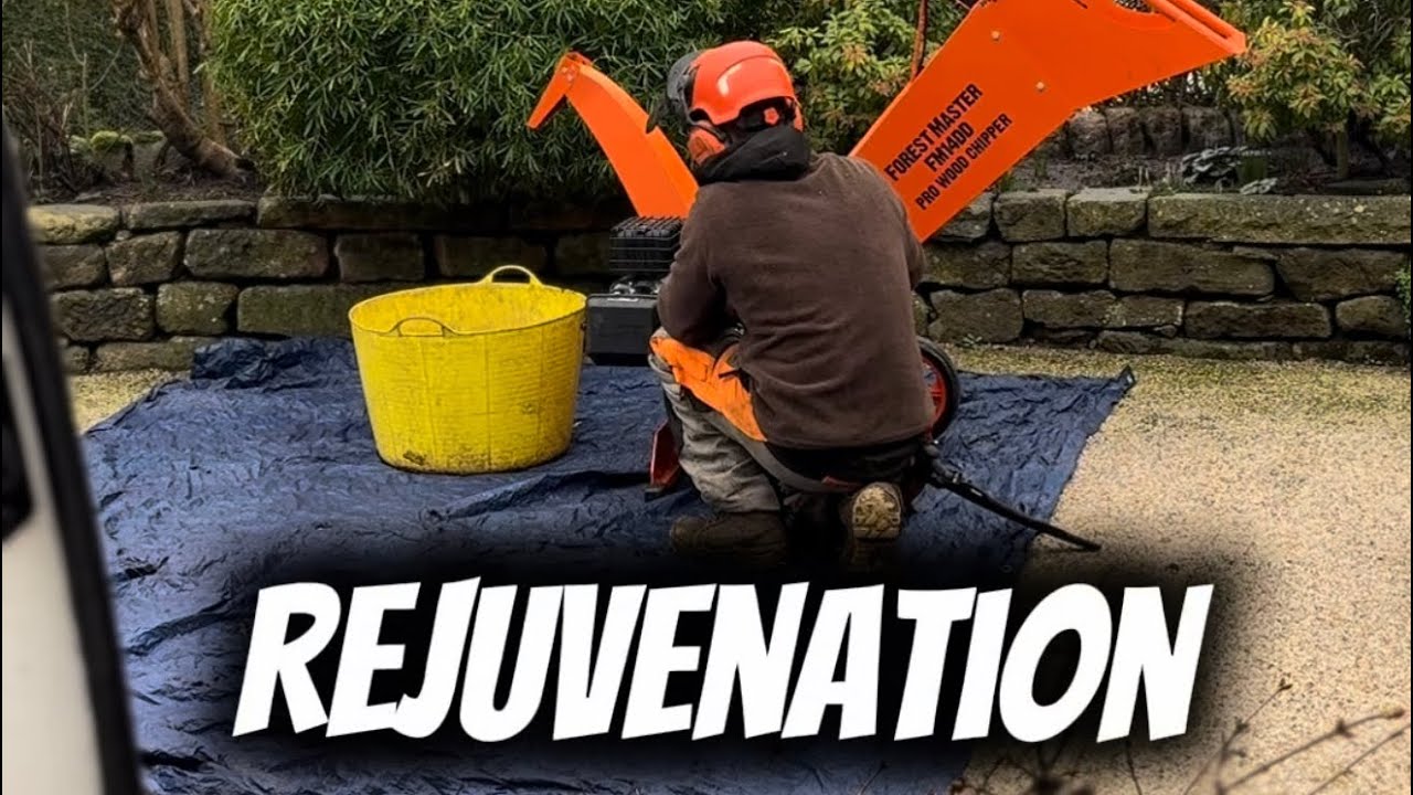 Rejuvenation 