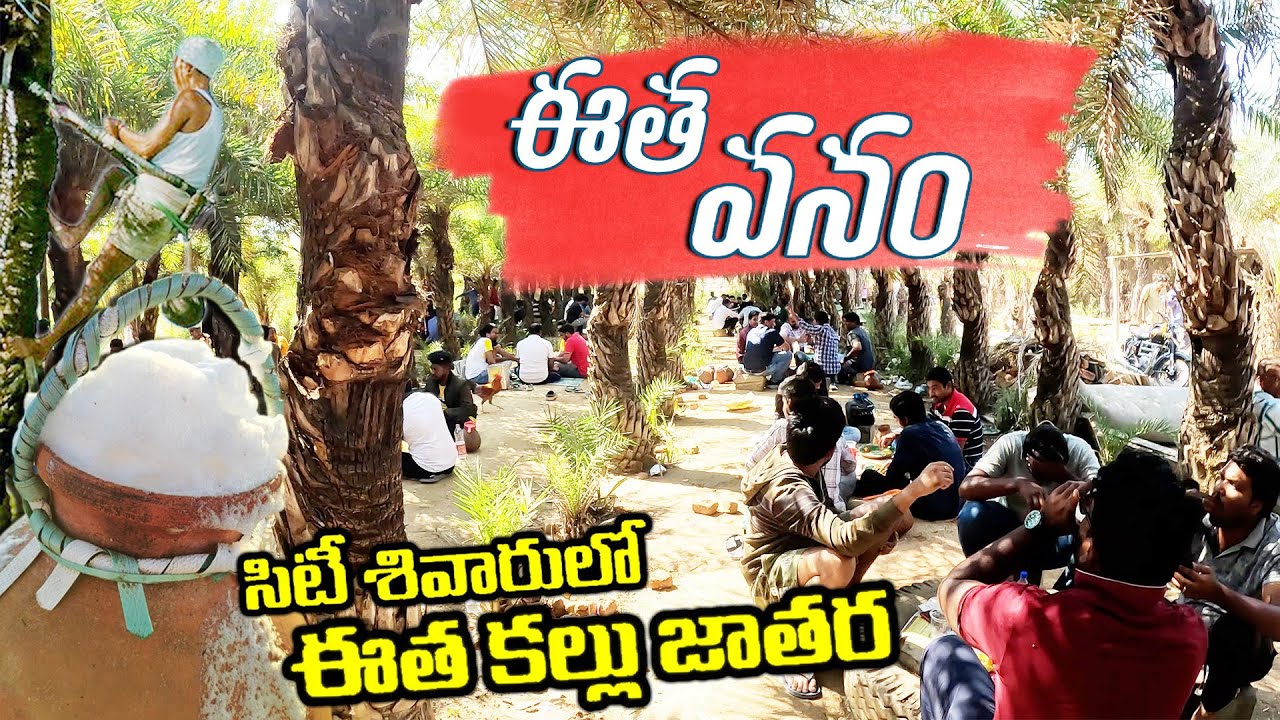Eetha Vanam || Toddy near Hyderabad || 3 Varieties of Palm Wine ||Lacha Goud Eetha vanam #tryitmedia