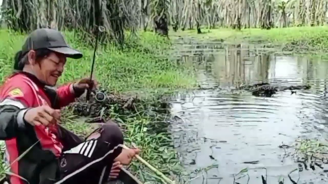 Panen..perhatikan cara nyentaknya..#OkeSegituSaja