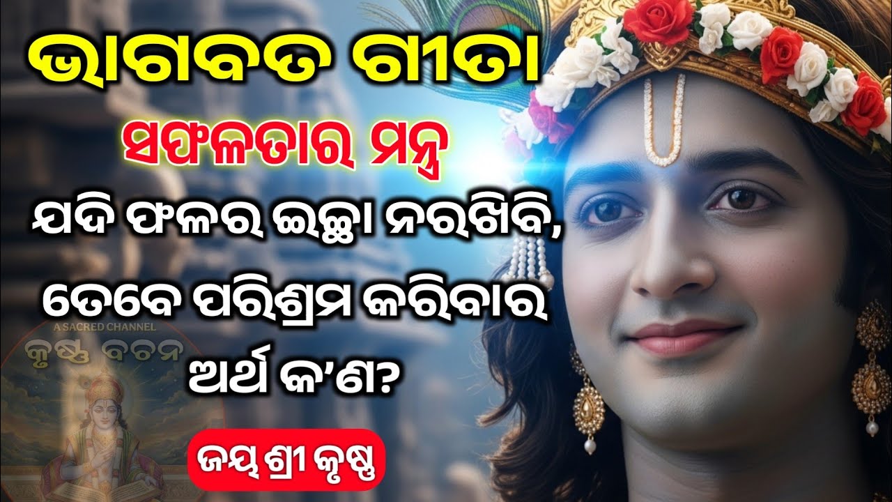 ଫଳର ଇଚ୍ଛା ନରଖି ପରିଶ୍ରମର ଅର୍ଥ କଣ? | Krishna Motivational Speech Odia | Gita Saar | Krishna Bachan