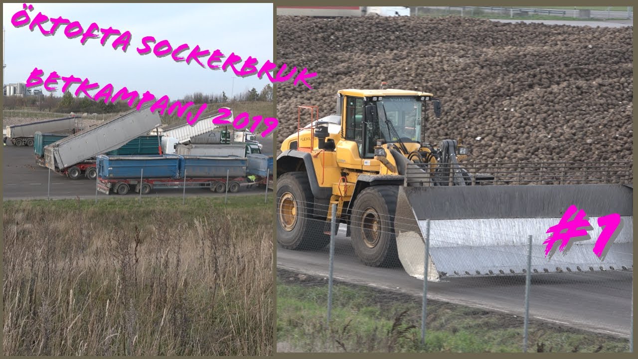 Örtofta sockerbruk betkampanj 2019  #1 2019-11-01