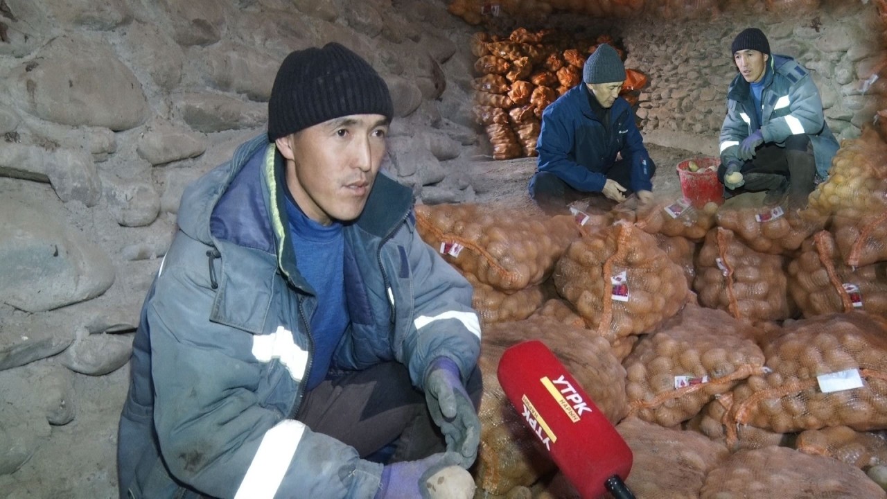 УТРК НАРЫН:КОЧКОРДО ЖАЗДЫН КАМЫ БАШТАЛДЫ