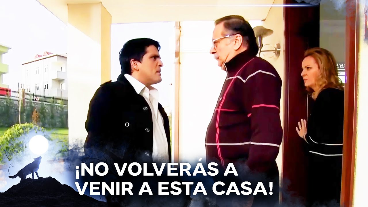 ¡La Insistencia De Hikmet Por Gonul! | Emboscada del Valle del Lobo Capítulo 22