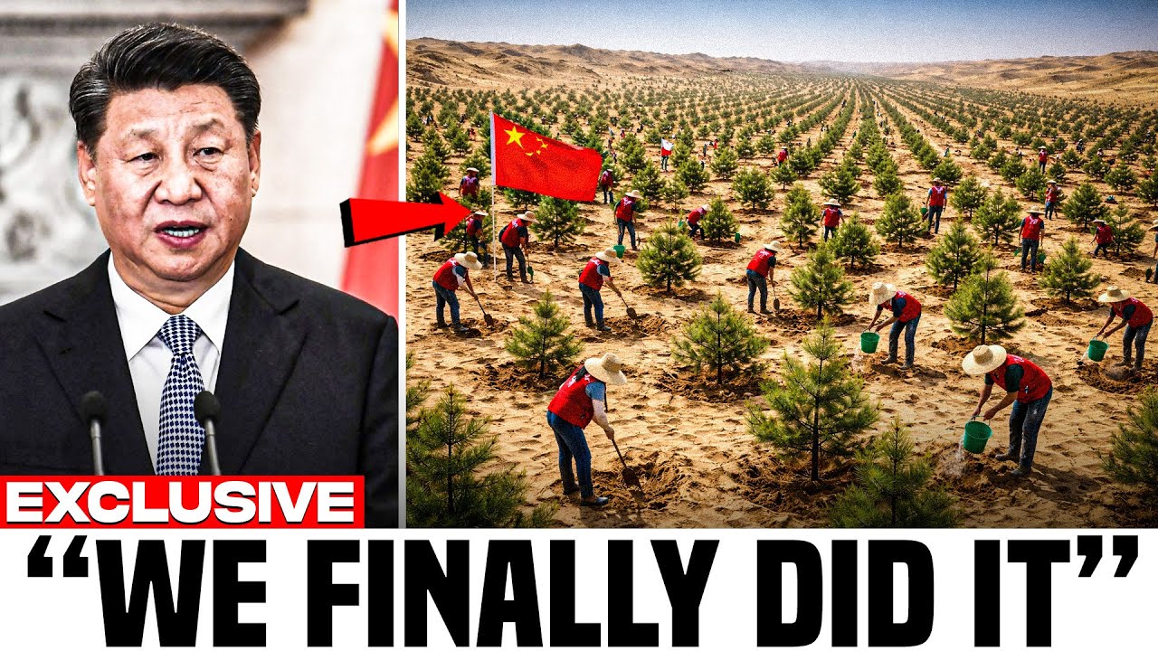 China Buried Tons of Plants In The Desert… Everyone Thought It Was Dumb, Until they Saw The Results