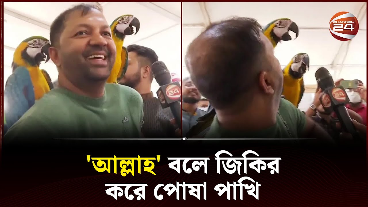কথা বলানোর জন্য স্ত্রীর কাছে নিয়ে গেল পুরুষ পাখিকে | Parrot | Macaw | Channel 24