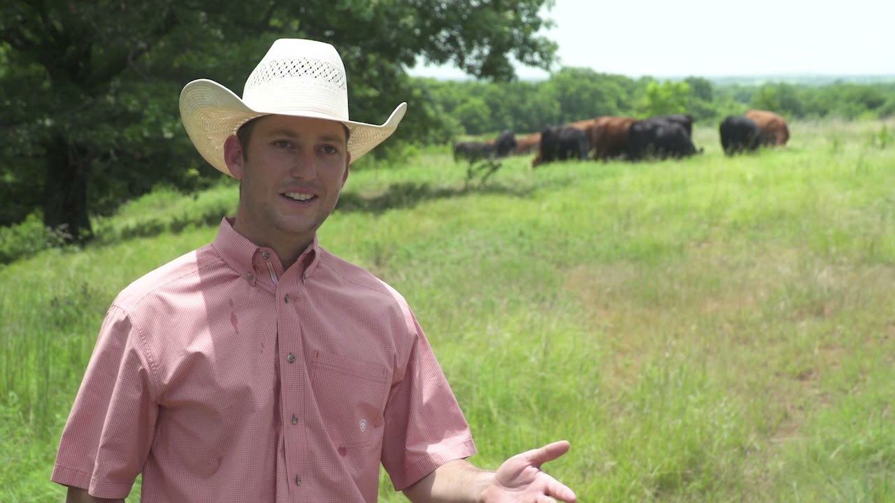How One Oklahoma Operation Manages and Treats BRD