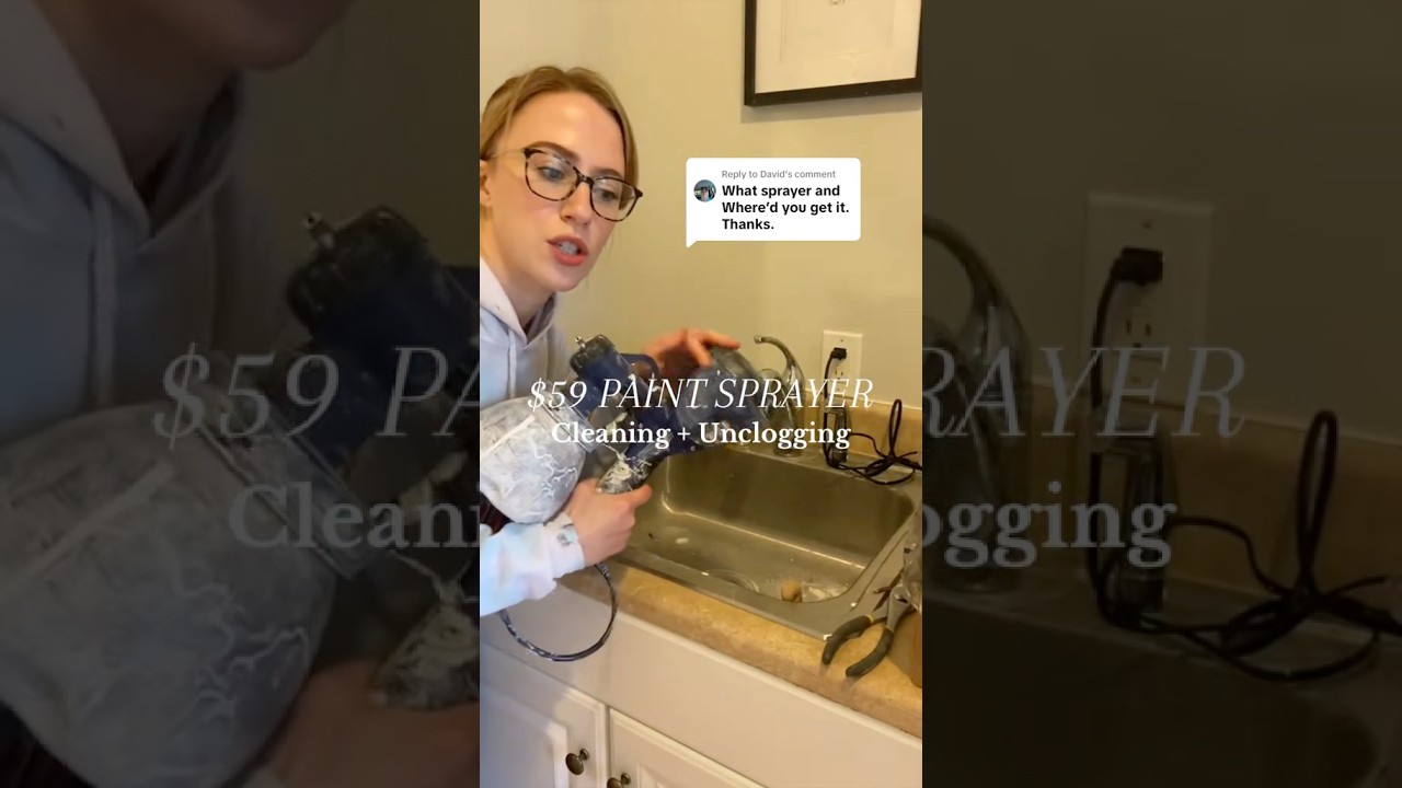 $59 Paint Sprayer • How to Clean & Unclog Paint Sprayer