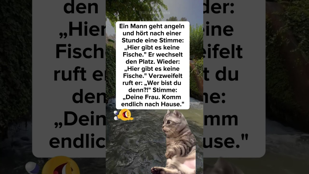 Keine Fische und Ausreden 🐟🤣