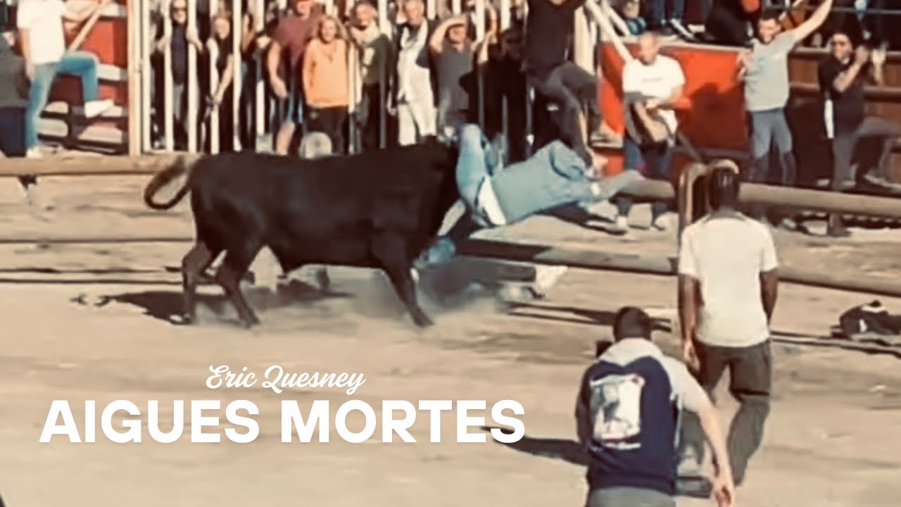 EN DIRECT Aigues mortes course au plan le 05/10/2025 